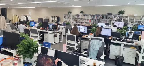 知衣供应链助力伊芙丽实现国牌服装设计进阶