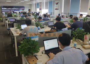 江门设计公司口碑之选 微恒咨询策划打造精品设计